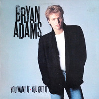 Bryan Adams Lot De 3 Disques Vinyles