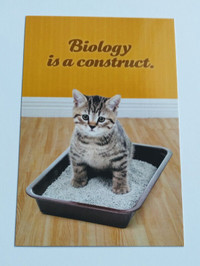 Social Justice Kittens postcards (3) - NEW