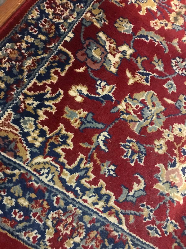 Area Rugs (x3) in Rugs, Carpets & Runners in Trenton - Image 2