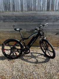 EMMO E-Bike “Monta” For Sale