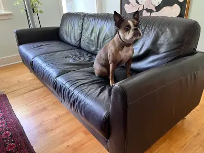 Leather sofa and chair, View more