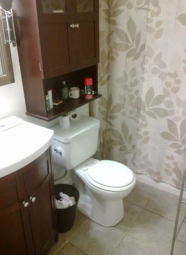 Parkdale apt. in house, bright room in 3 bedroom, June 1 in Room Rentals & Roommates in City of Toronto - Image 11