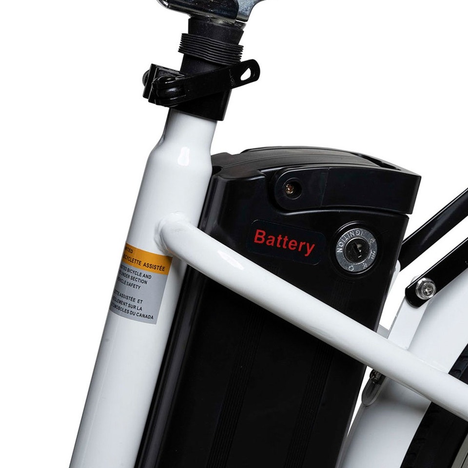 Paris Deluxe - Ebike Bulk BlowOut (10 Units)