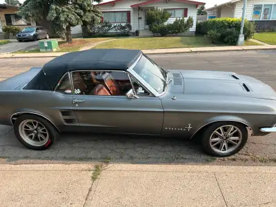 Looking for a car stereo installation