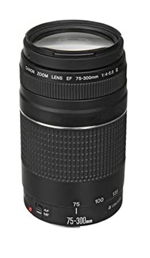 Sigma Téléobjectif zoom Nikon dans Appareils photo et caméras  à Lac-Saint-Jean - Image 2