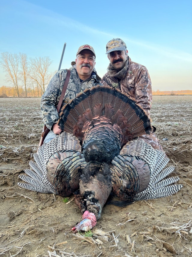 Wild Turkey Hunt *Book Today Travel & Vacations London Kijiji