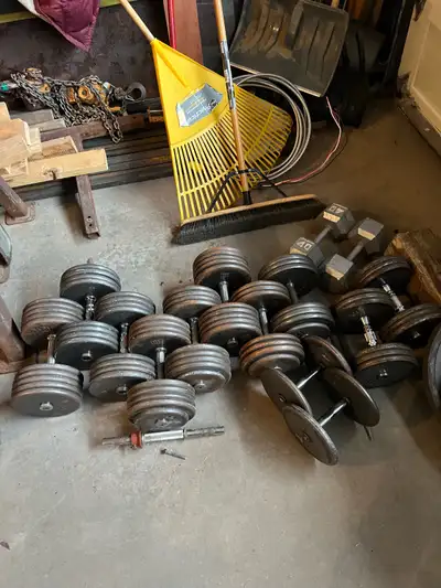 dumbbells, 10 lb plates and two 45lb Olympic plates, View more