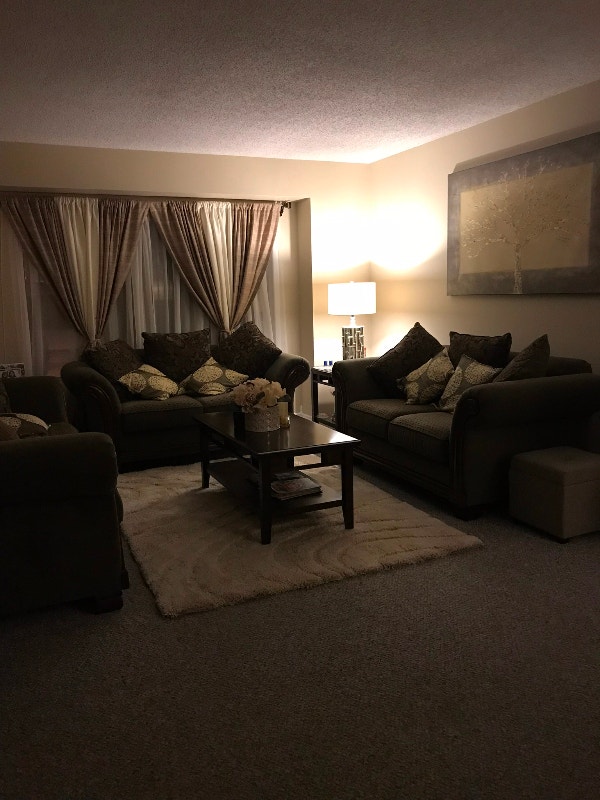 Sofa/couch set (2 love seats and 1 three seater large couch) Couches