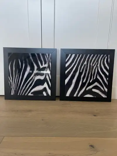 Zebra Pictures - set of 2 pictures - size: 19.5” x 19.5” - color: black and white