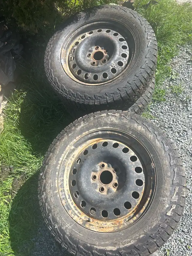 2 sets winter tires/ rims in Tires & Rims in Cape Breton - Image 3