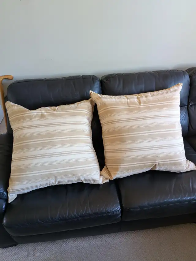Two Large Pillows65669428034690120