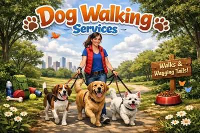 Offering dog walking services, View more