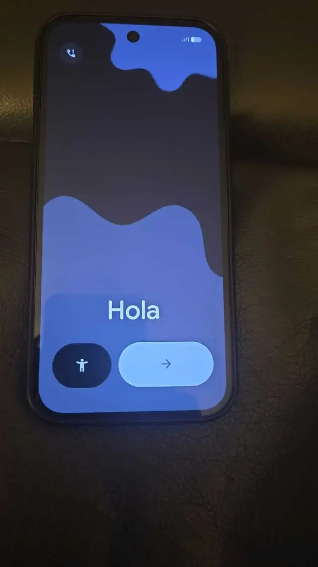 Google Pixel 9
