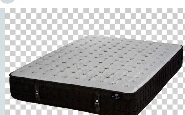 Lit AJUSTABLE ÉLÈCTRIQUE avec matelas – Confort haut de gamme in Beds & Mattresses in Sherbrooke - Image 4
