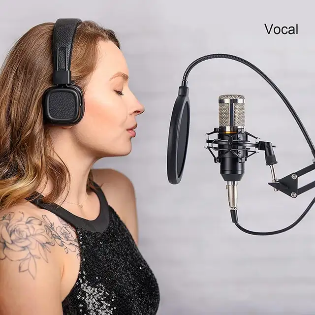 ⭐NEW! Mic Bundle, Microphone, Stand, Shock Mount and Pop Filter⭐63234779155969121