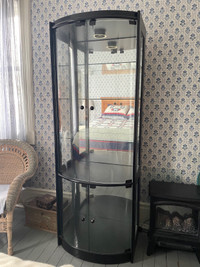 Curio Cabinet with Glass Door + Shelves 