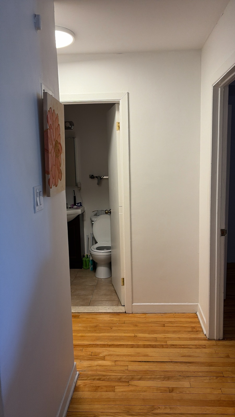 2354 Avenue Mariette — photo 3