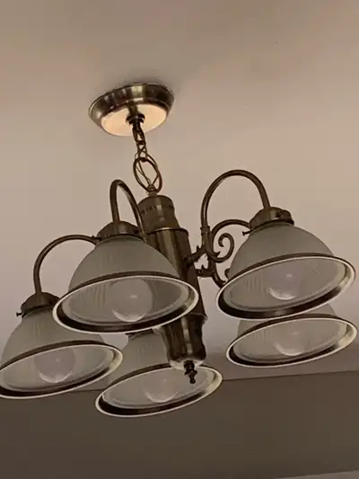 Brushed nickel, 5 lights.