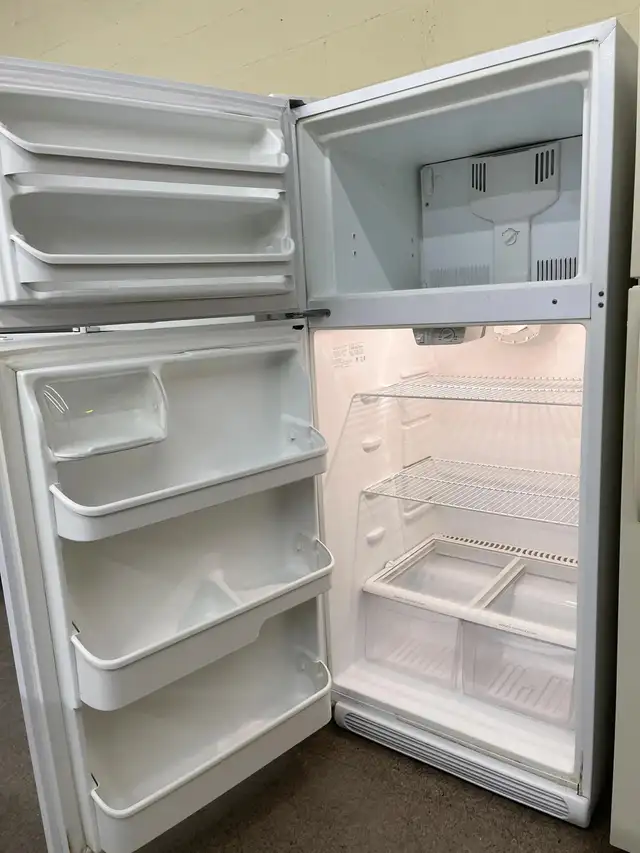 Frigidaire Fridge + Freezer62863281554819123