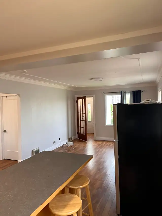painter and handyman 450230019530444802