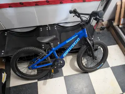 Spawn Cycles Banshee 16" kids bike, View more