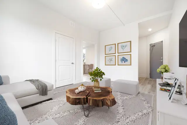 Newly Renovated 1 Bedroom Apartment! Move in Ready!