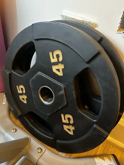 2x 45LBS PLATES, View more