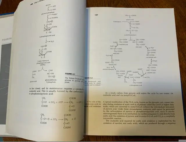 Microbial World in Textbooks in Guelph - Image 4