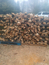 Firewood for sale just cut and split poplar and Manitoba maple