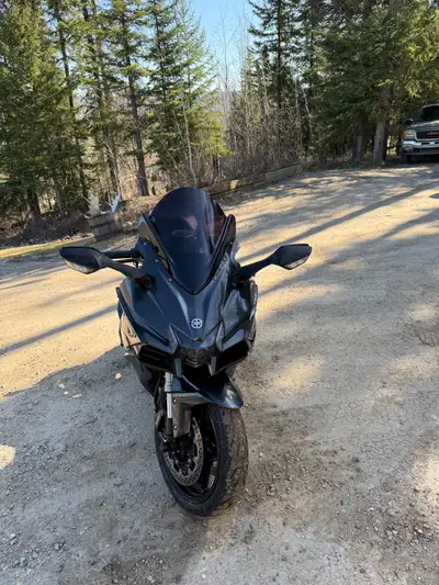 Great condition comes with New rear tire not installed and colour matched cargo bags Reason for sell...