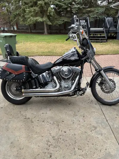 2005 softail standard ,hot 95 kit,andrews cams and tensioners with less than 500 miles,rinehart pipe...