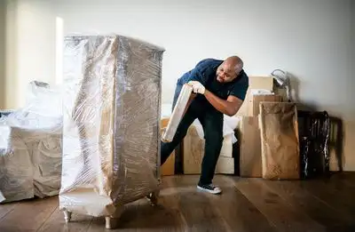 swift movers62863725794561124