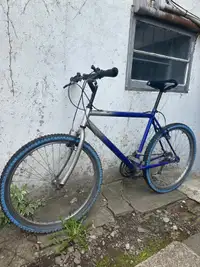 Hybrid Mountain Bike/Vélo