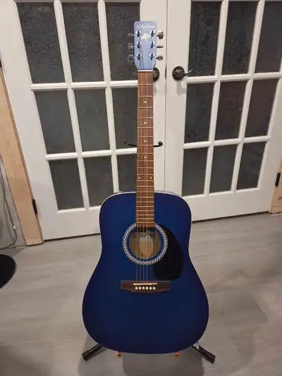 Guitare acoustique Godin, View more