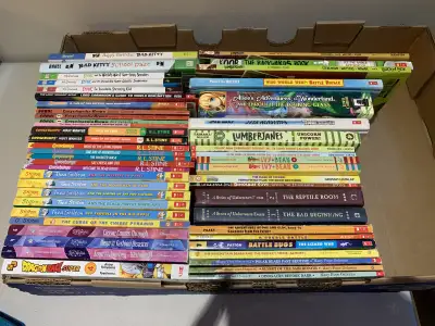Kids Chapter Books $2 each, Goosebumps, Thea Stilton, p/u NW, View more