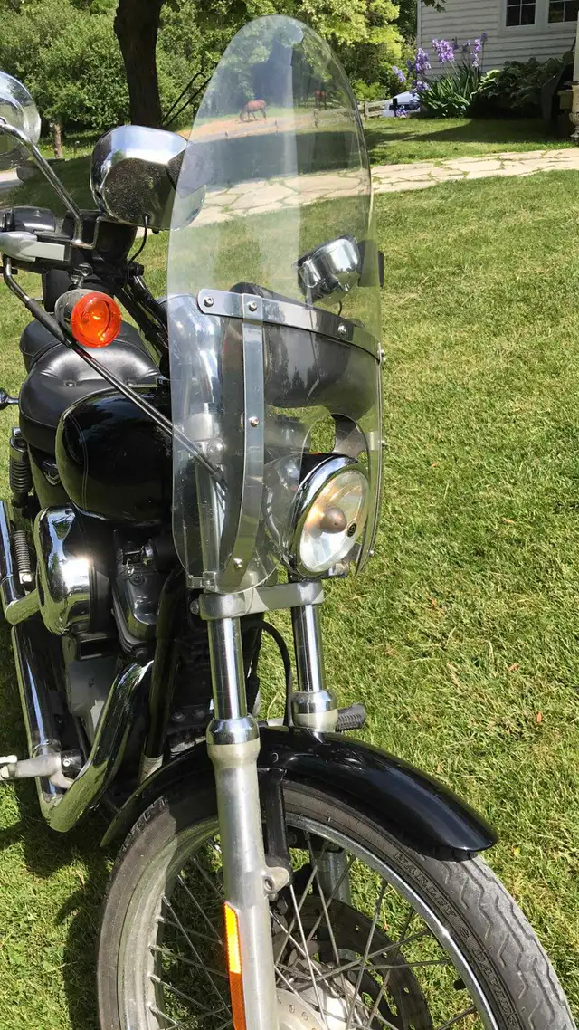 2005 Harley Sportster with extras in Street, Cruisers & Choppers in Oshawa / Durham Region - Image 5
