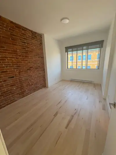 Colocation au Mile-End (dispo 1er juillet)