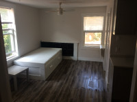 Furnished Bachelor Downtown Kingston inclusive