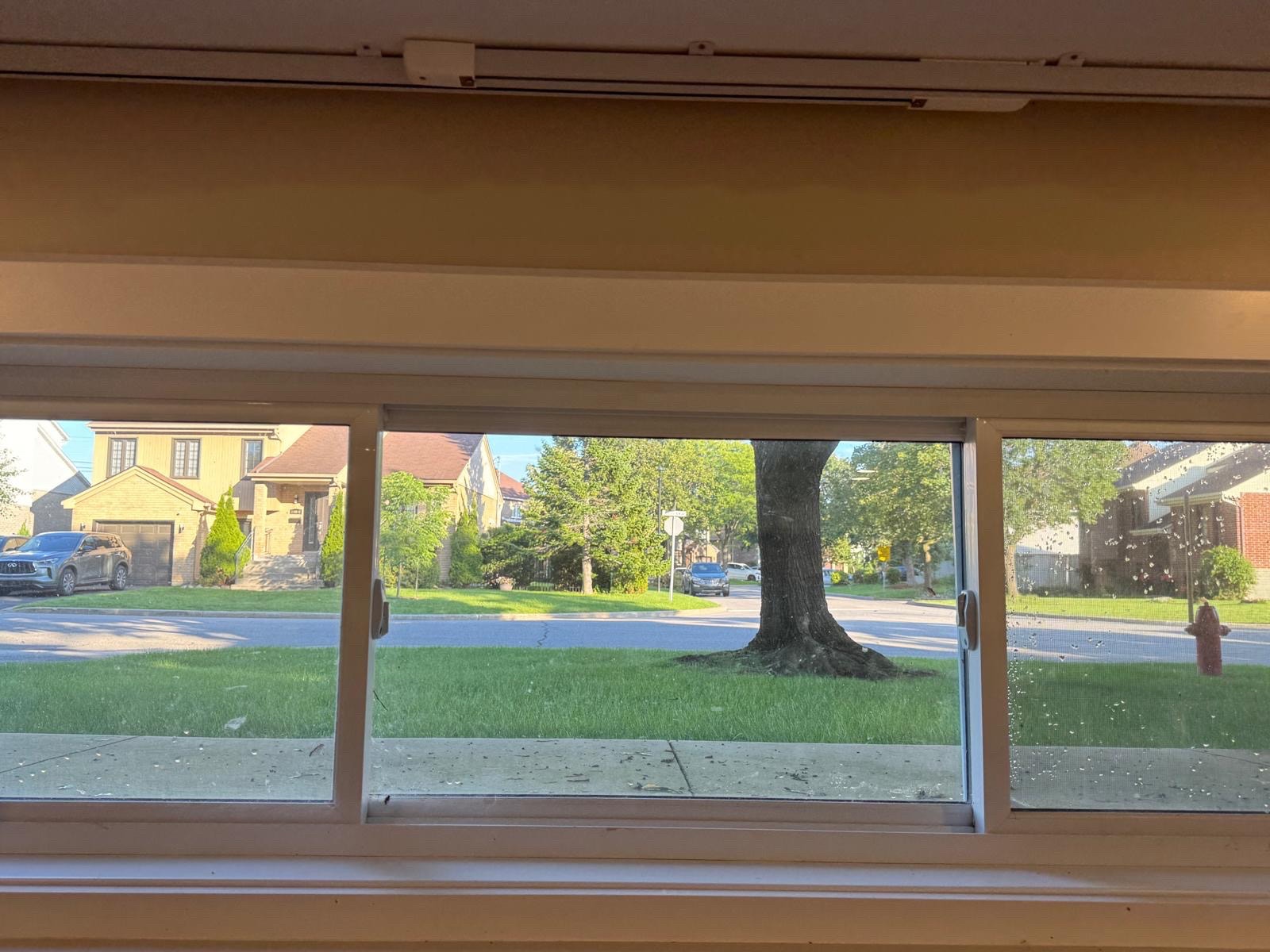 Kirkland basement suite rent ideal female student John Abbott — photo 2