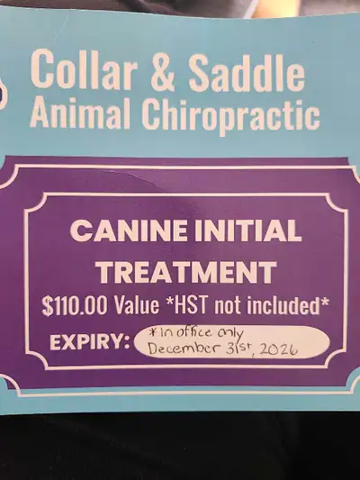 free canine initial chiropractic initial treatment, View more