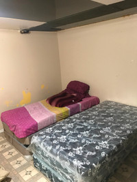 Room For Rent to Students near Humber College, Etobicoke