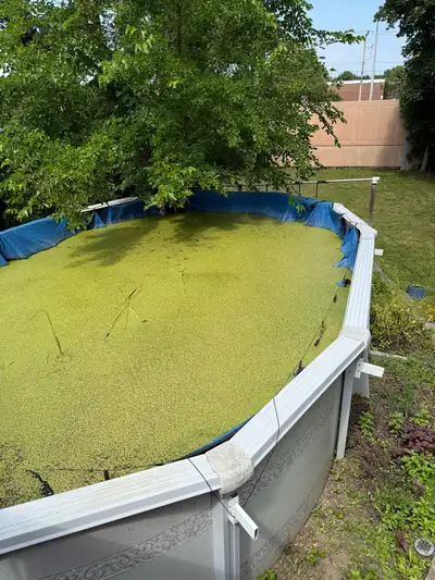  Above ground pool disposal , View more