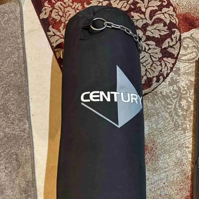 punching bag