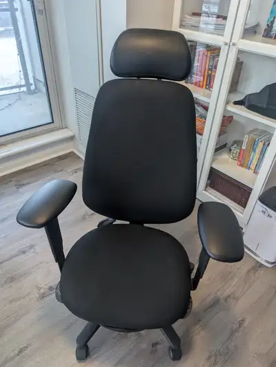 Ergonomic GeoCentric Office Chair – Extra Tall Back + Headrest, View more