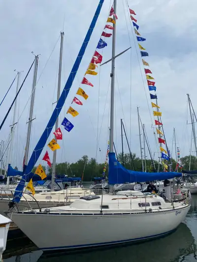 Bones is in very good condition, in water at Toronto, Ontario Price: $17000 CDN Contact Owner: Mary...