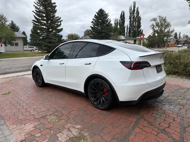 2020 Tesla Model Y Performance AWD558834001684080644
