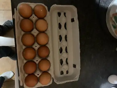 Farm fresh organic Chicken,duck and jumbo quail eggs available can accommodate large orders with not...