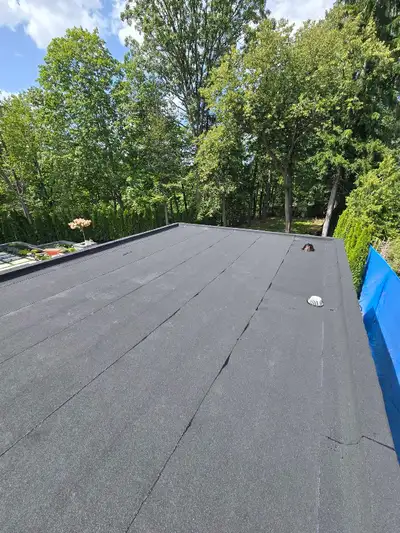 Roof, soffit, fascia, gutter and siding, View more