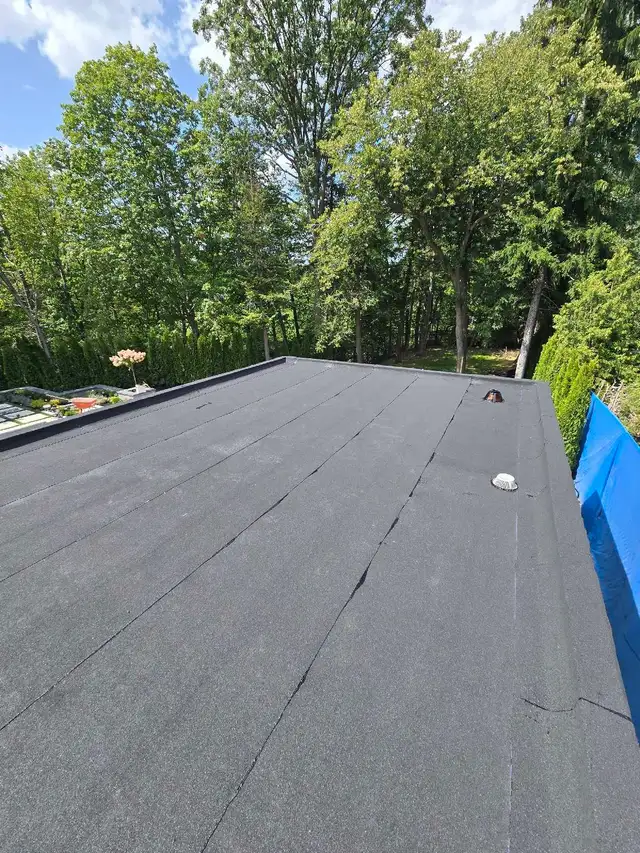 Roof, soffit, fascia, gutter and siding