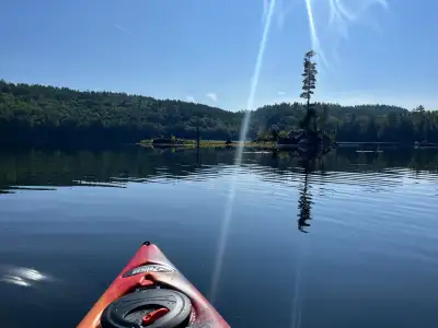 We're offering our beloved glamping property for sale; a place we've poured our hearts into creating...